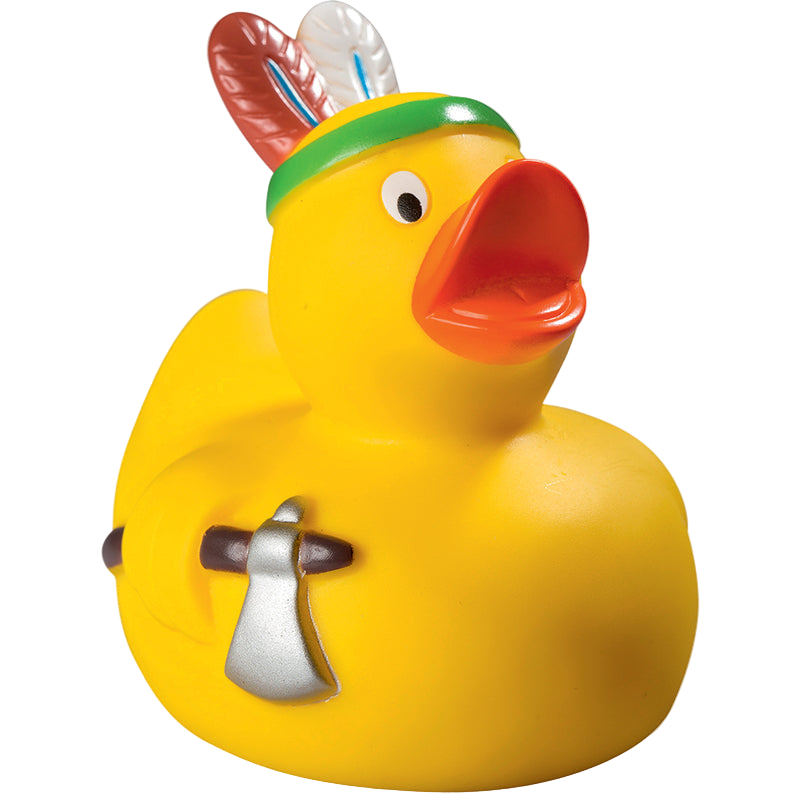 Canard Indien