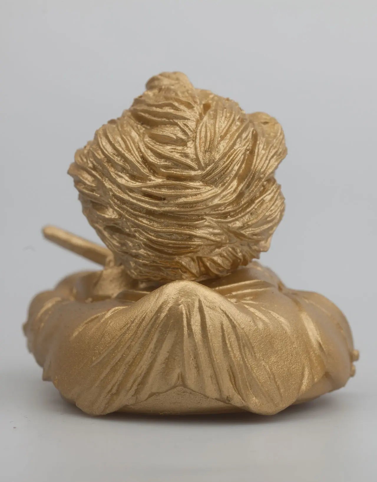 canard johann strauss or austroducks