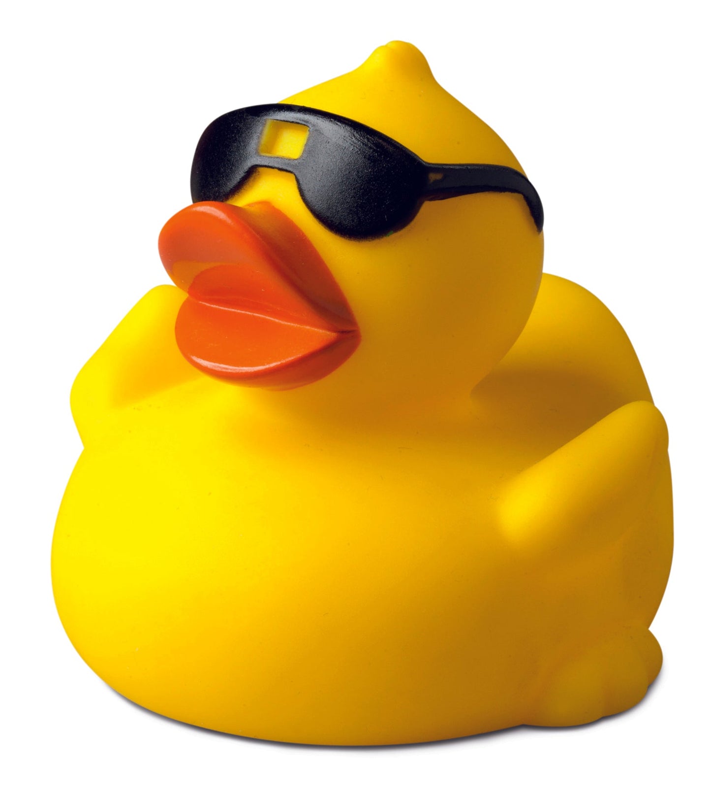 canard lunettes de soleil schnabels
