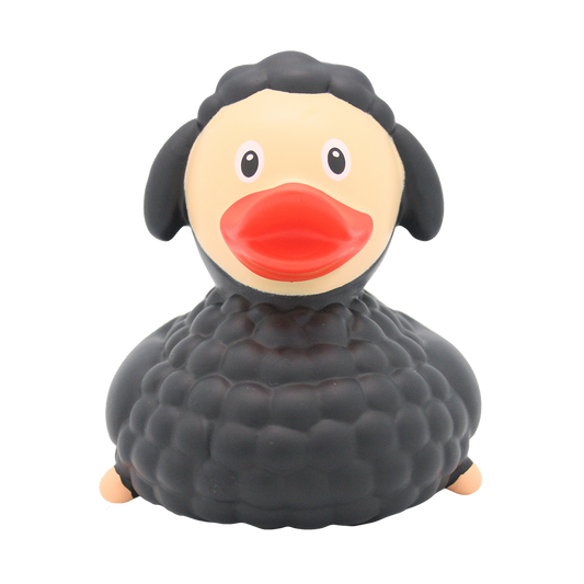 Black Sheep Duck