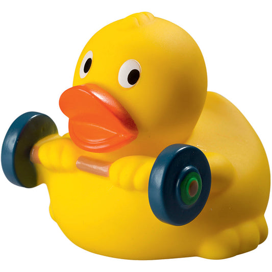 canard musculation schnabels