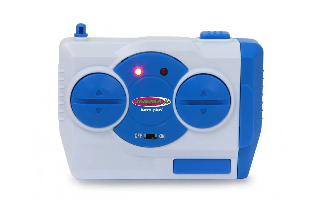 canard radiocommande