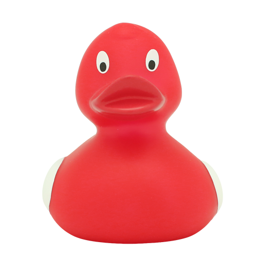 Duck SHARE HAPPINESS