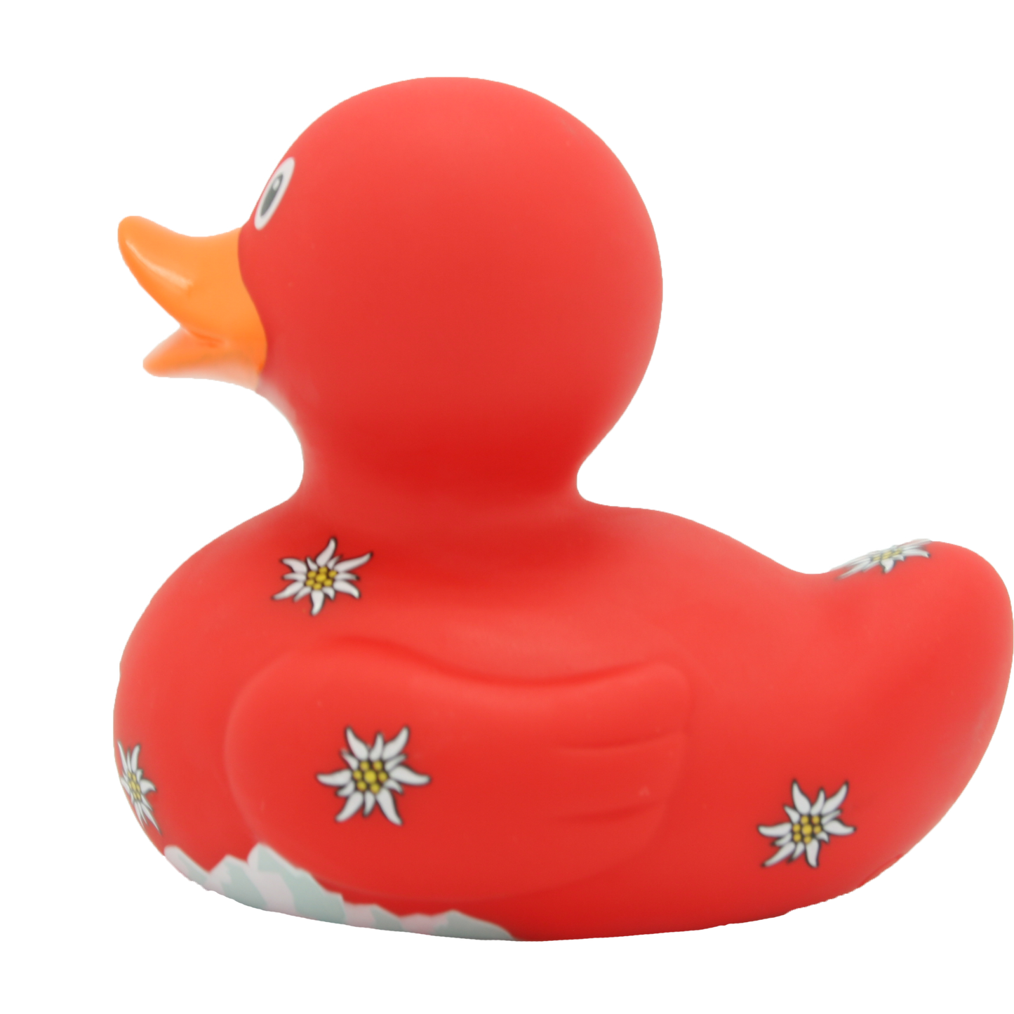 Swiss Duck