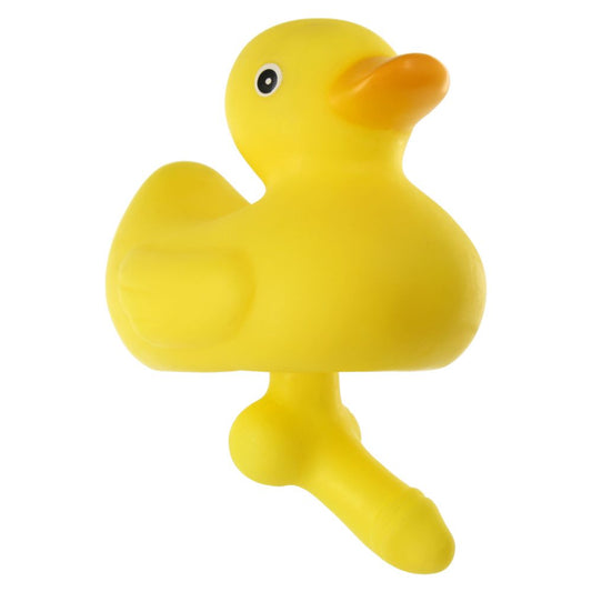 canard zizi