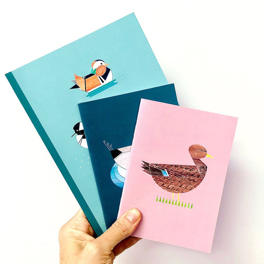 carnet de note mme canard colvert ellie good illustration