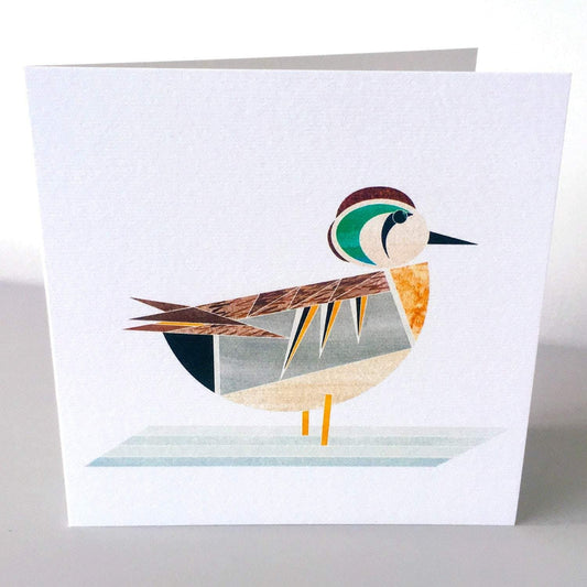 carte de voeux canard sarcelle elegante ellie good illustration