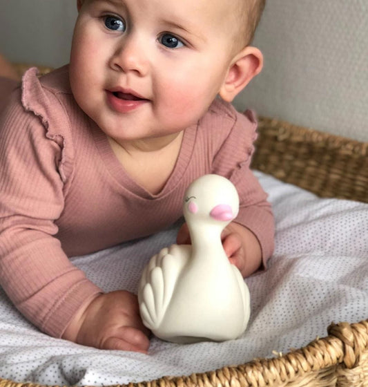 cygne de dentition a little lovely company