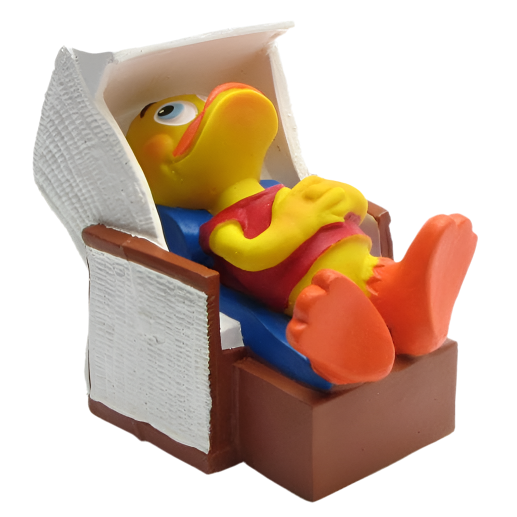 Canard Chaise de plage