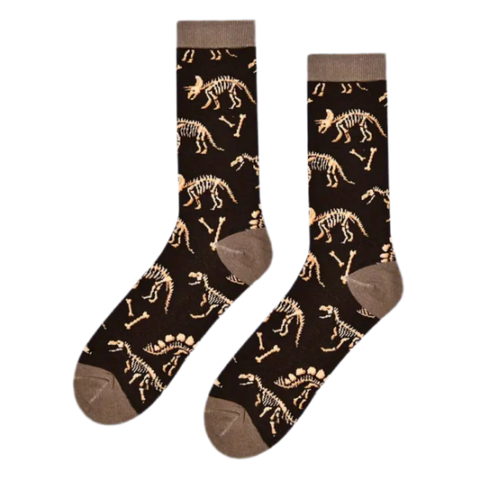 chaussettes fossiles de dinosaures mrcol SOX DINO 002 62123596