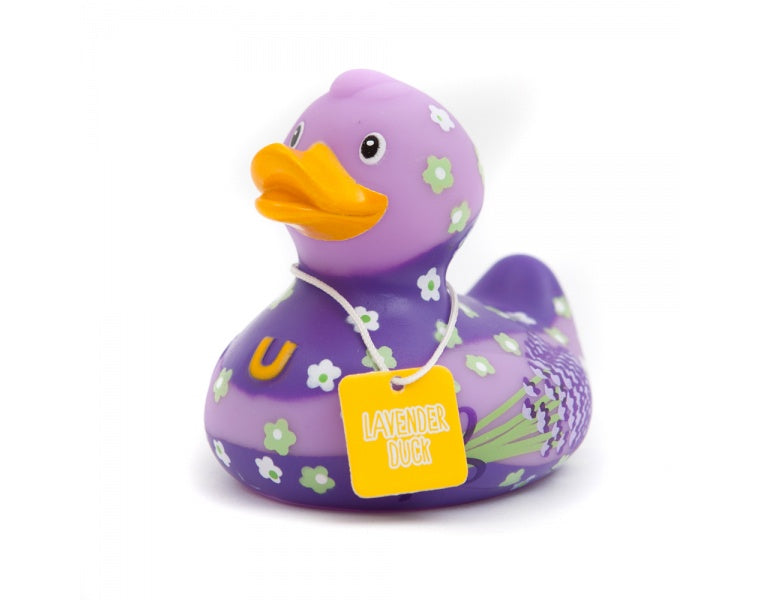 canard lavande bud duck
