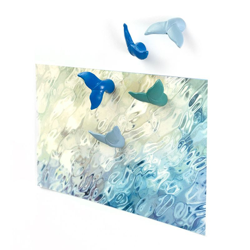 Blauwal Magnete