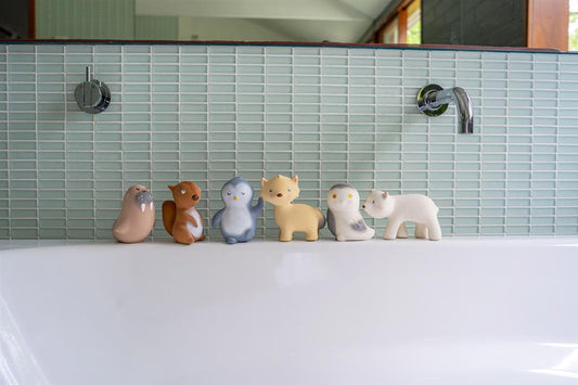 lion de mer de bain tikiri