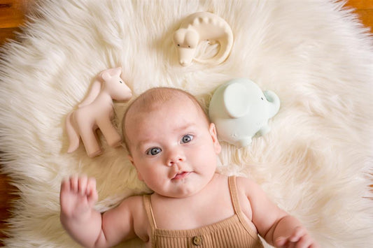 mon premier animal guimauve edition tikiri