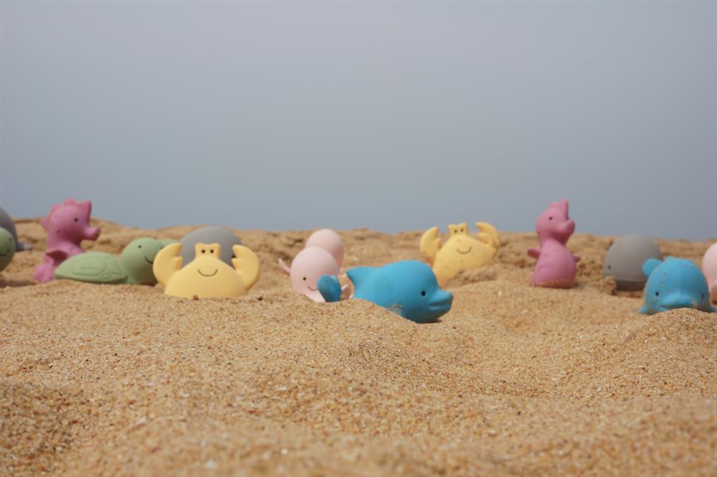 crabe de bain tikiri