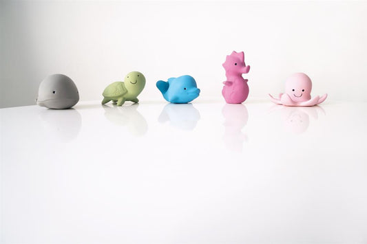 mon premier animal marin tikiri