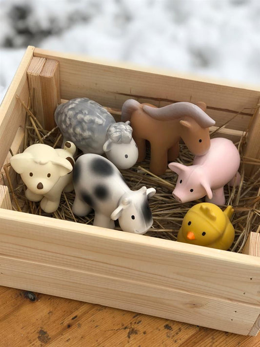 poussin de bain tikiri