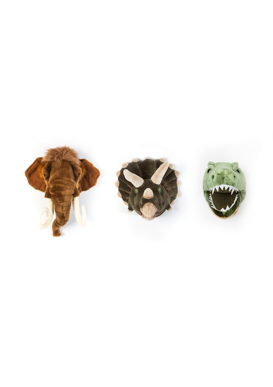Mini tĂȘtes dĂ©coratives : Coffret Prehistoric - Wild & Soft