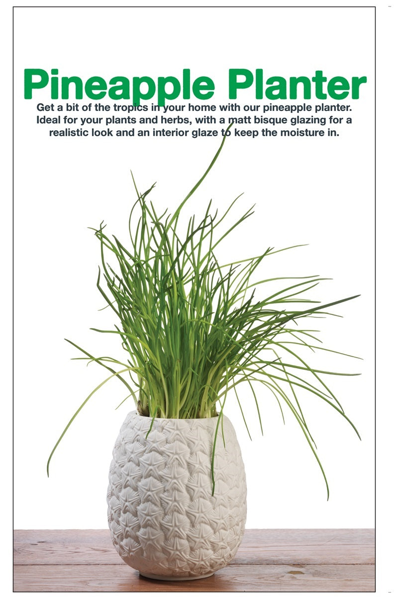 pot de fleur ananas bitten