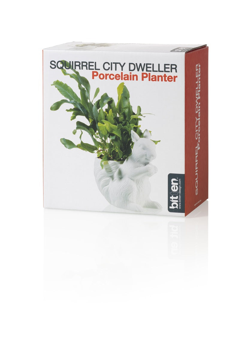 pot de fleur ecureuil bitten