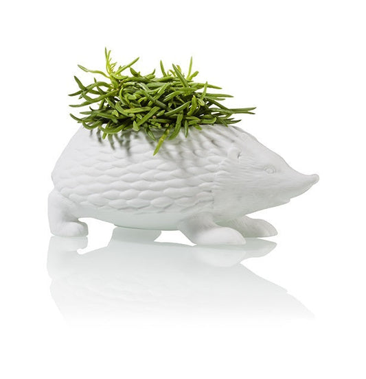 Pot de fleur Hérisson Bitten – Cache-pot original