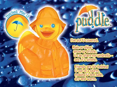 canard temps de pluie