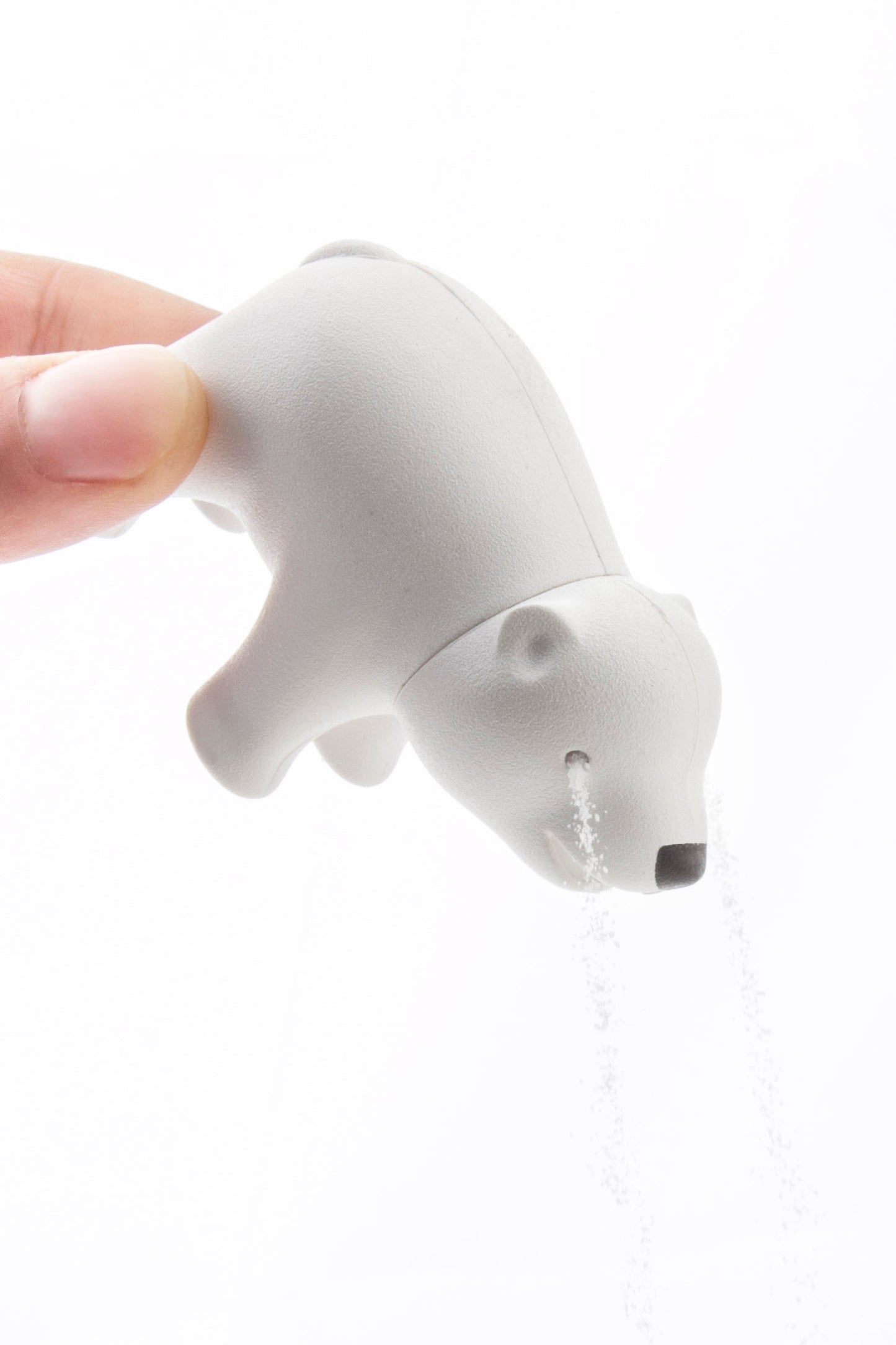 sel et poivre freres ours qualy