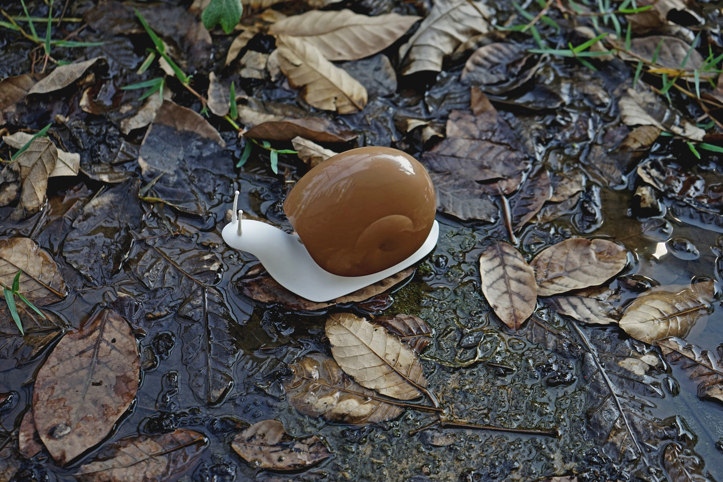 distributeur de savon escargot