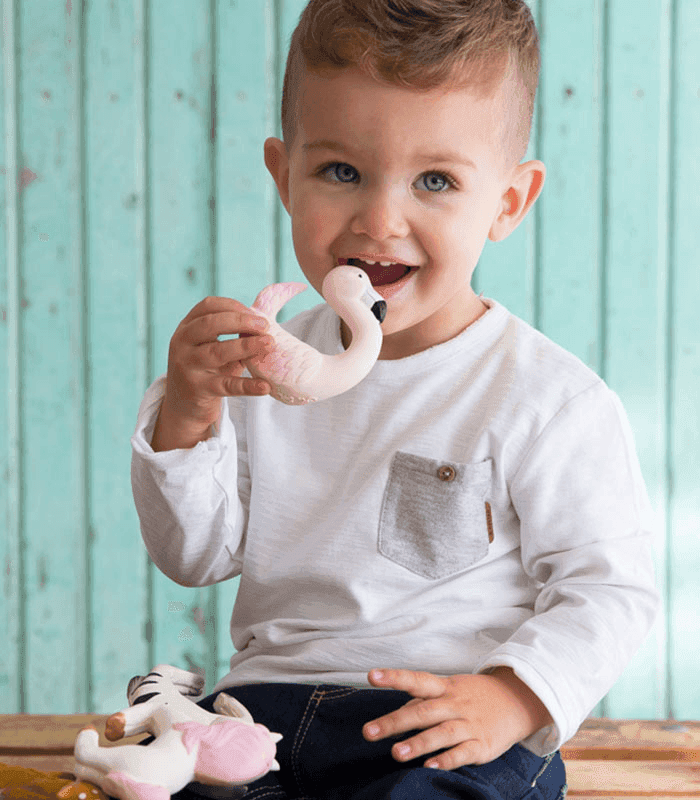 Produit Sky Le Flamant Rose Fan