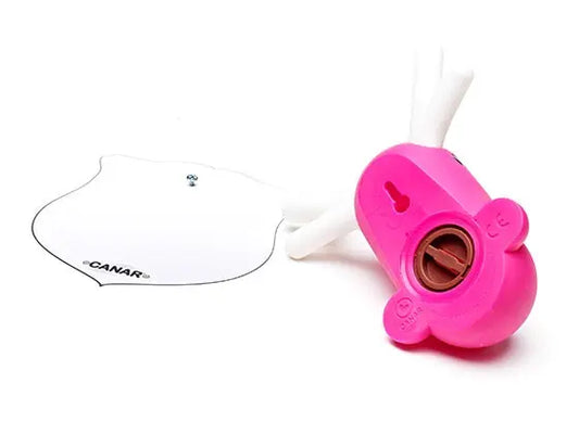 tirelire murale canard rose canar