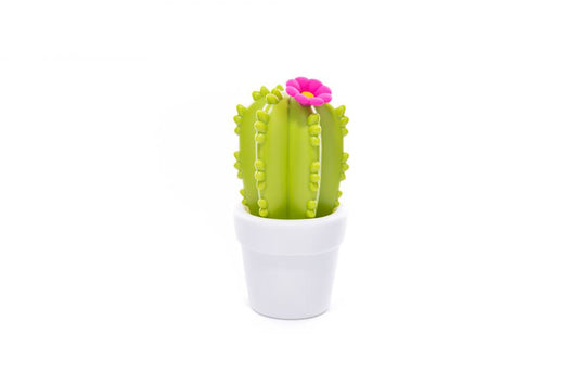 veilleuse cactus fleur dhink