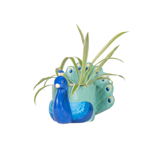 Mini-Pflanzgefäß Pfau