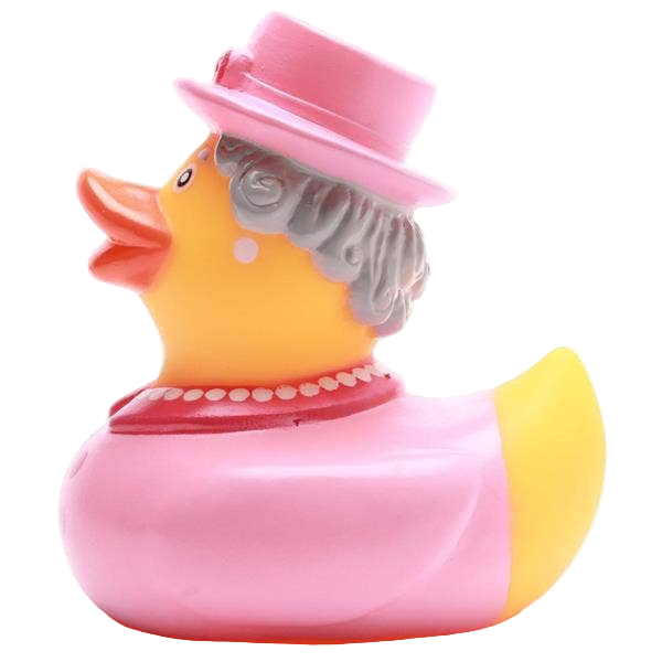 Canard Reine Elizabeth II - Rose