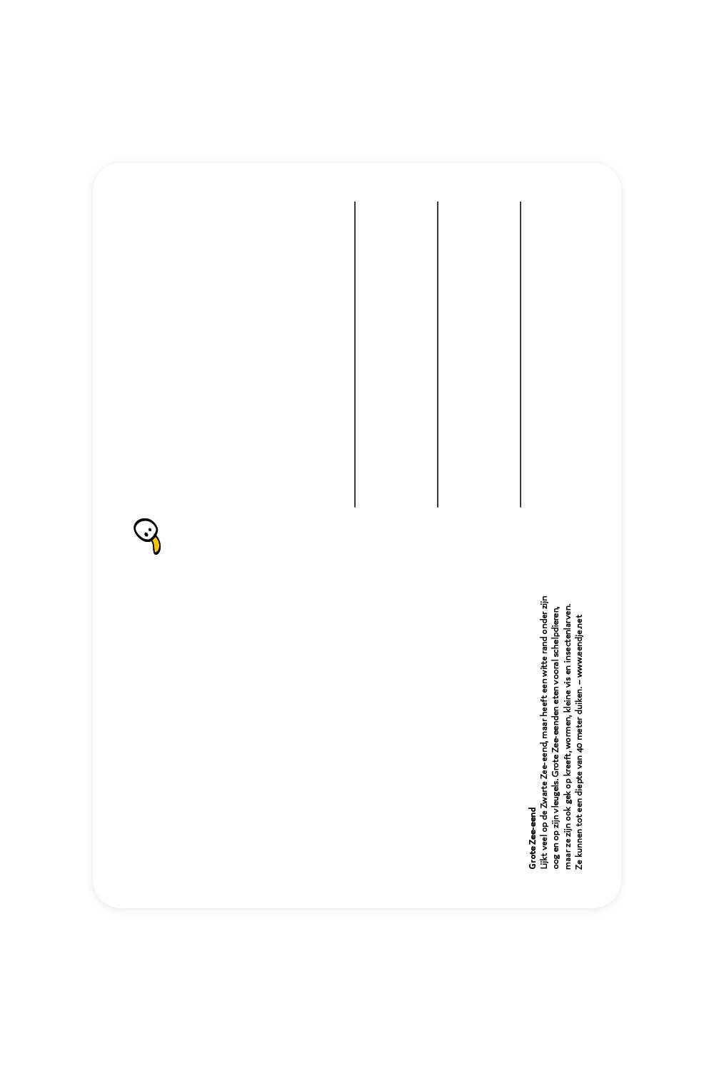 Postcard with a large sea duck