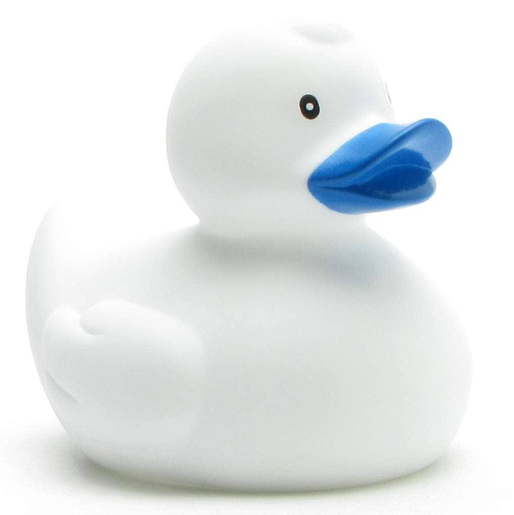 canard classique blanc 1