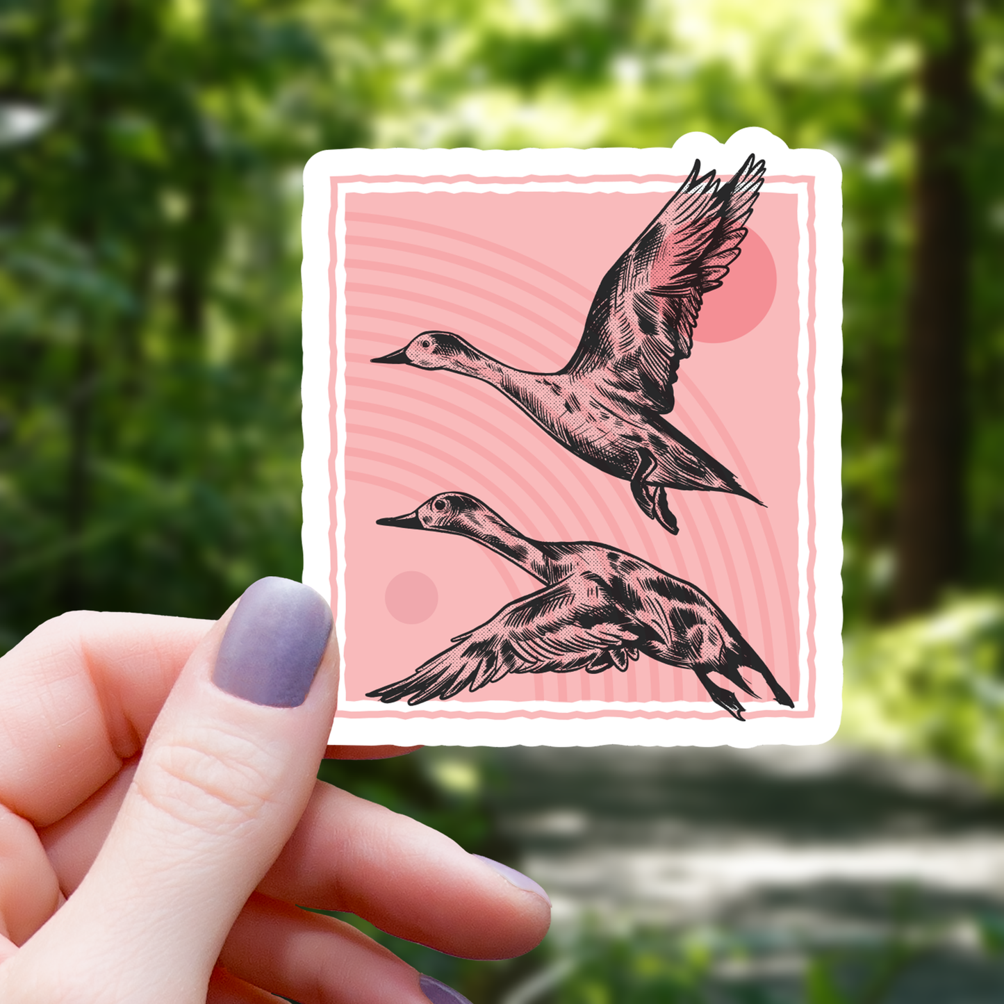 Ducks Stamp Sticker