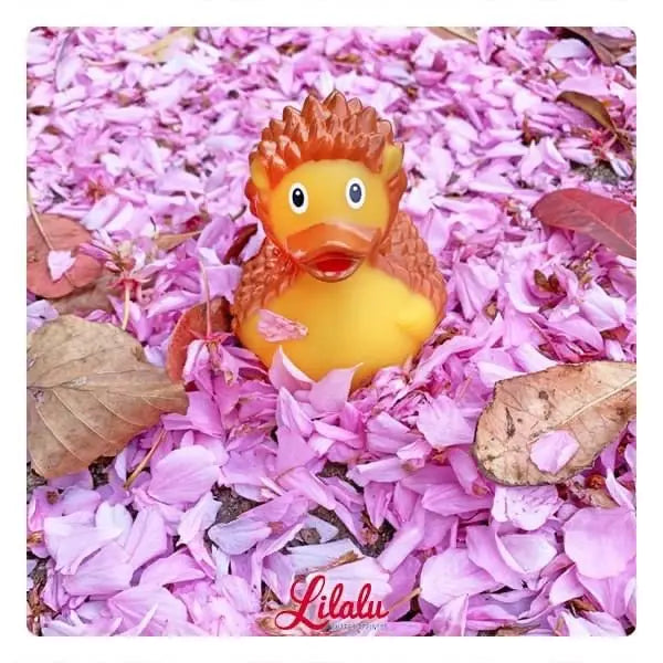 canard herisson lilalu