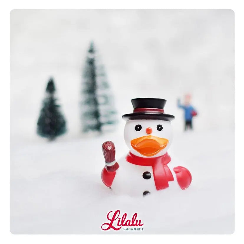 canard bonhomme de neige lilalu