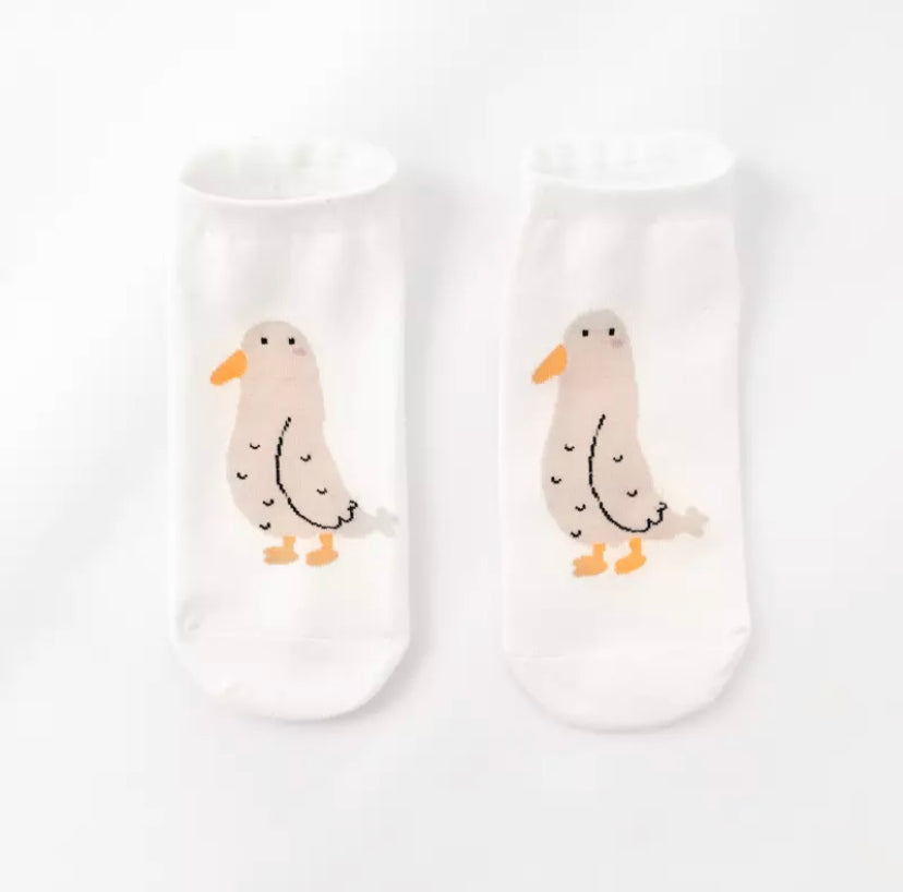 socquettes canard gris