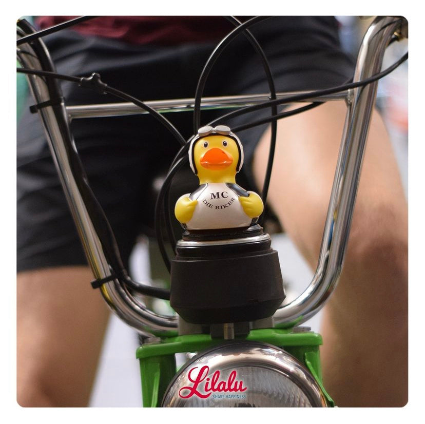 Chargement en cours...