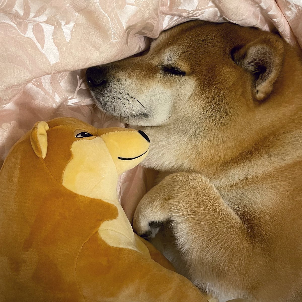 Cheems Plush (1ft)
