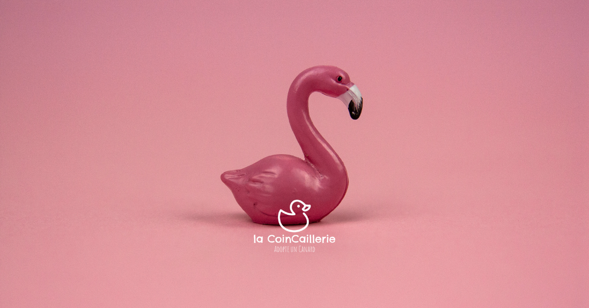 la CoinCaillerie - Flamants Roses