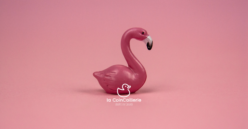la CoinCaillerie - Flamants Roses