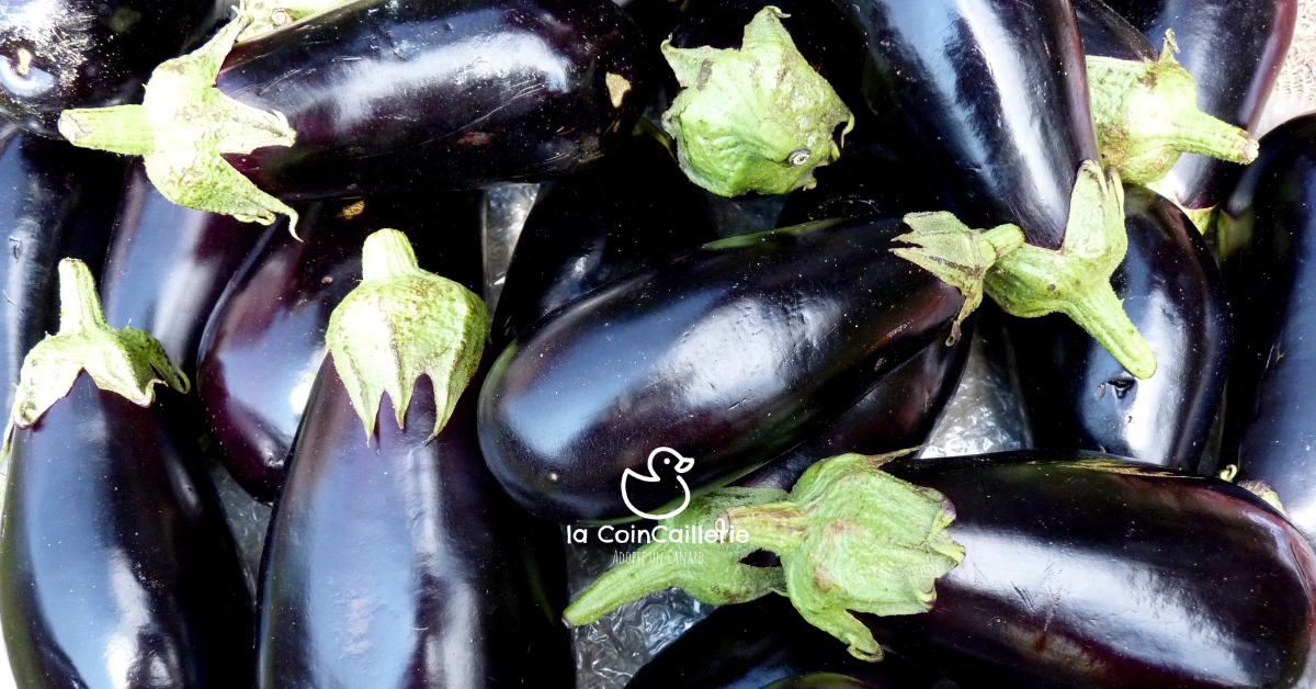 Aubergines