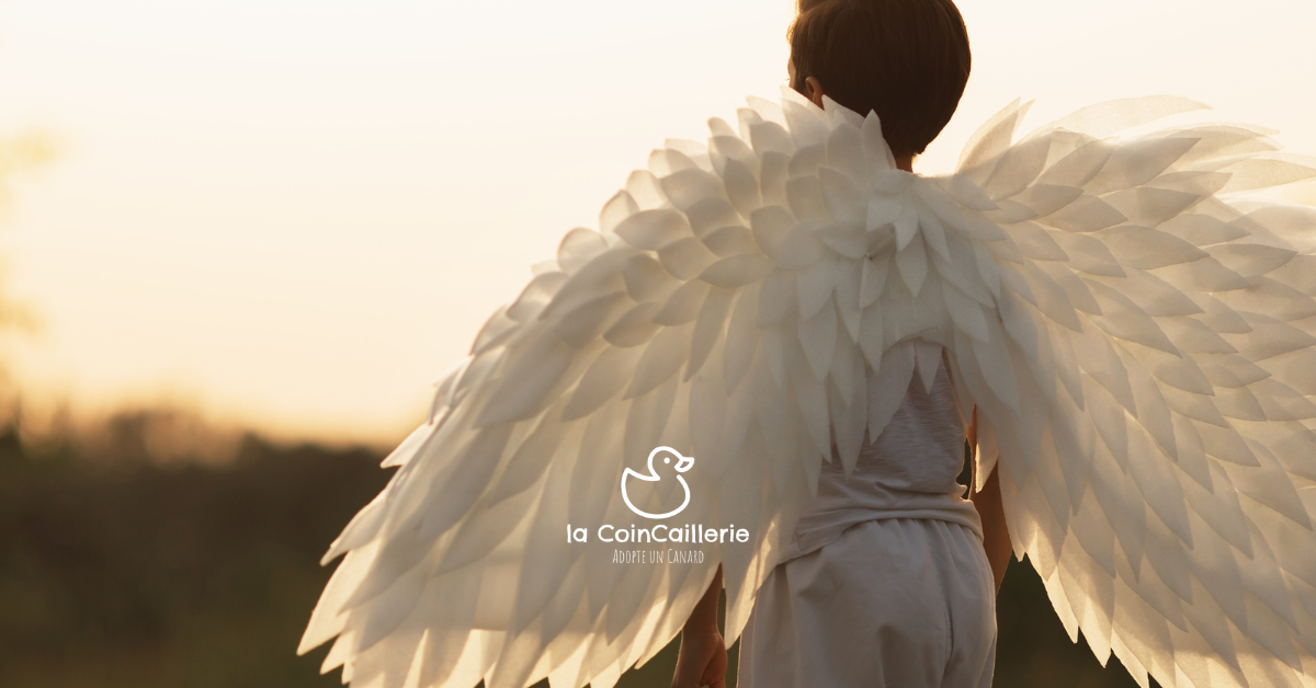 Anges