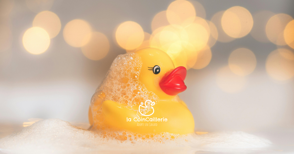 Canards de Bain