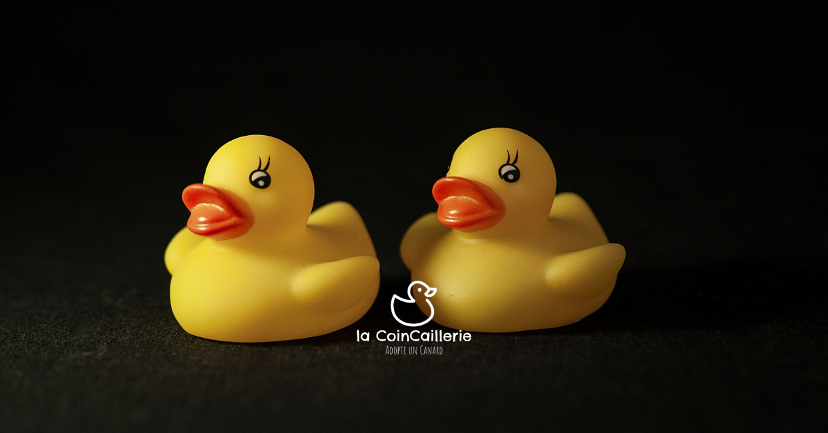Boutique de Canards 🐥