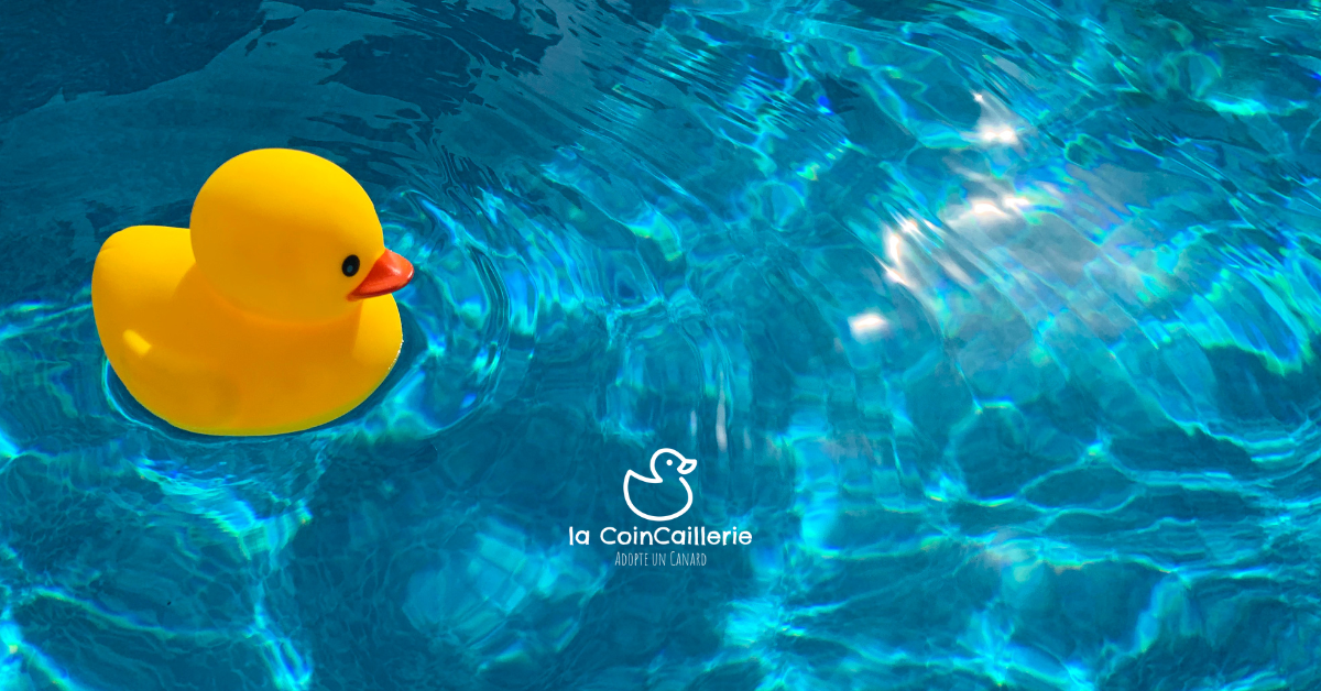 Canard Marin - la CoinCaillerie