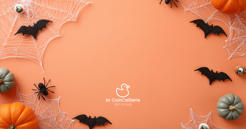 Halloween - la CoinCaillerie