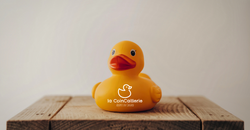 Boutique de Canards - la CoinCaillerie